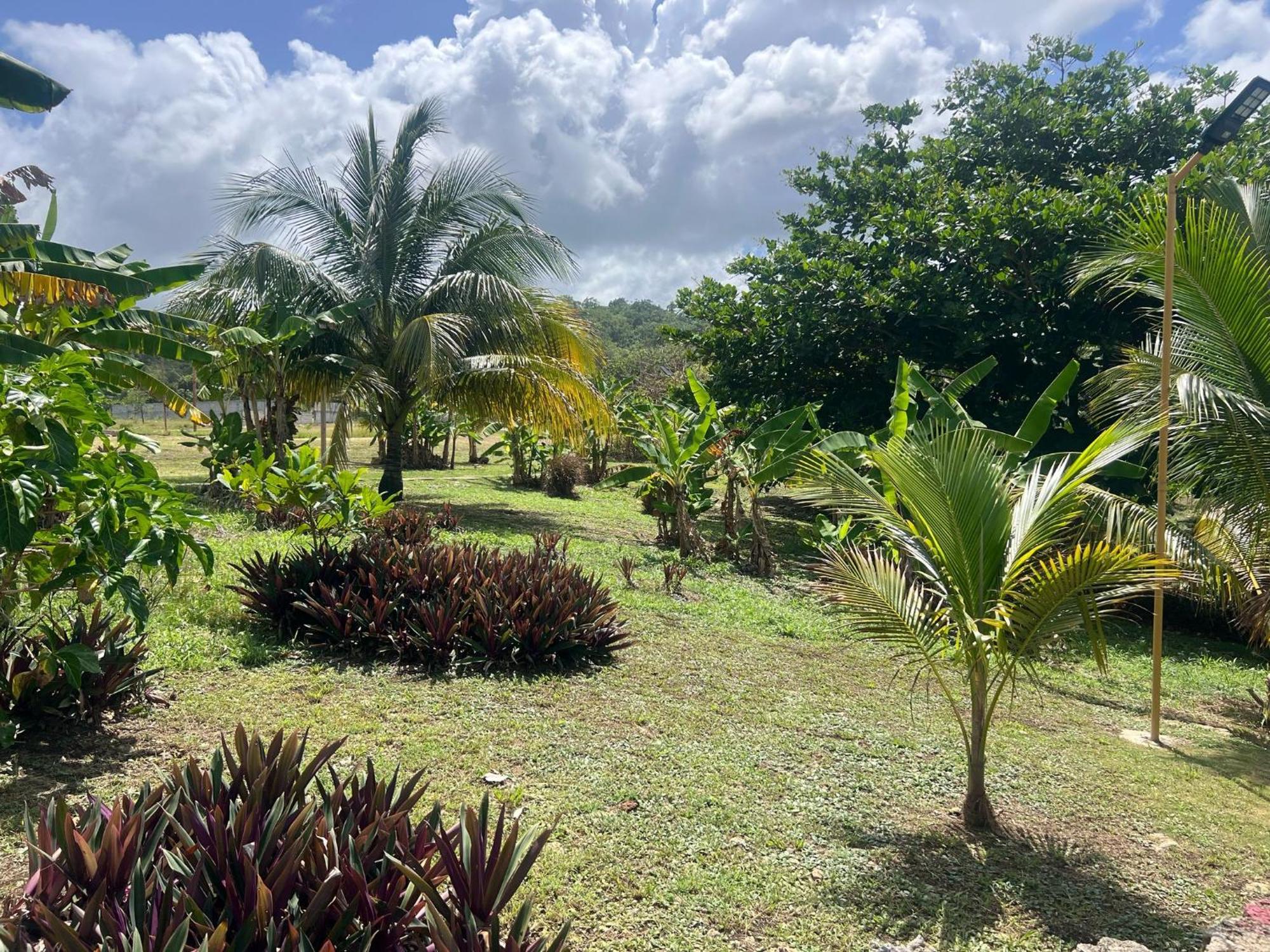 The Sea Cliff Hotel Resort & Spa Port Antonio Kültér fotó