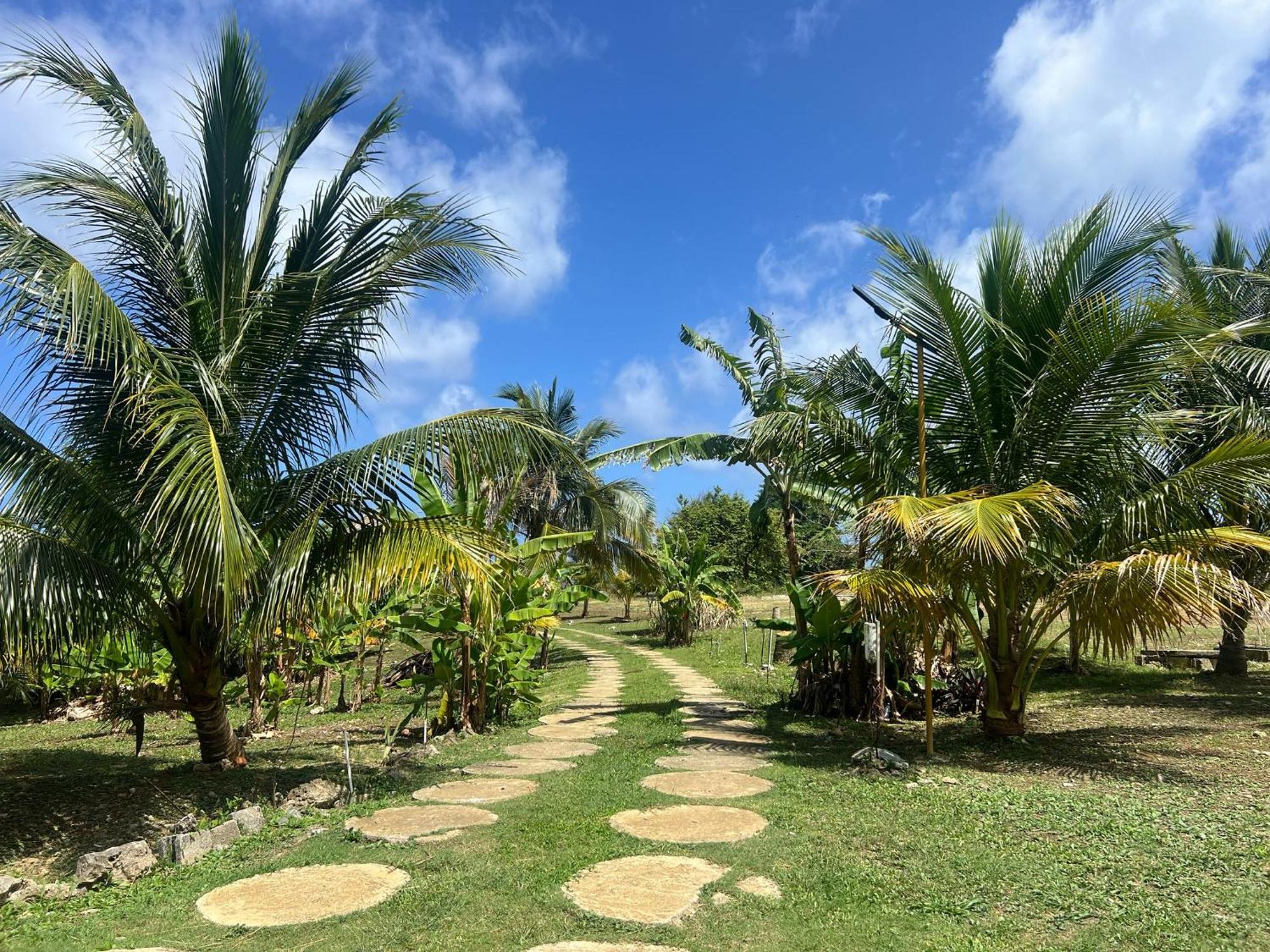 The Sea Cliff Hotel Resort & Spa Port Antonio Kültér fotó