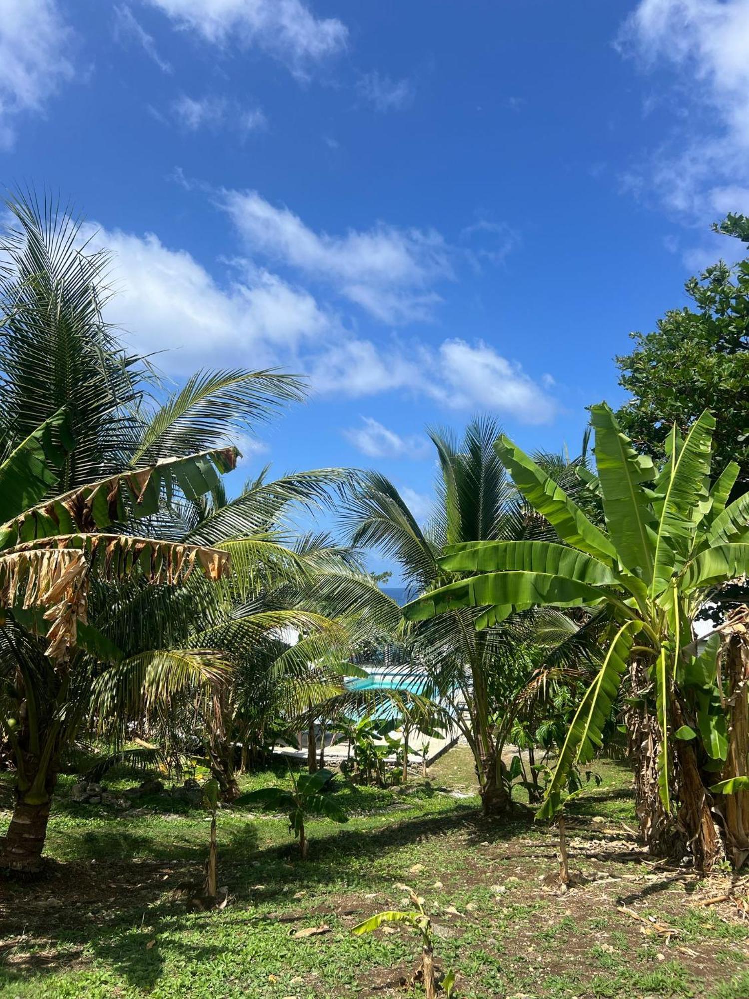 The Sea Cliff Hotel Resort & Spa Port Antonio Kültér fotó